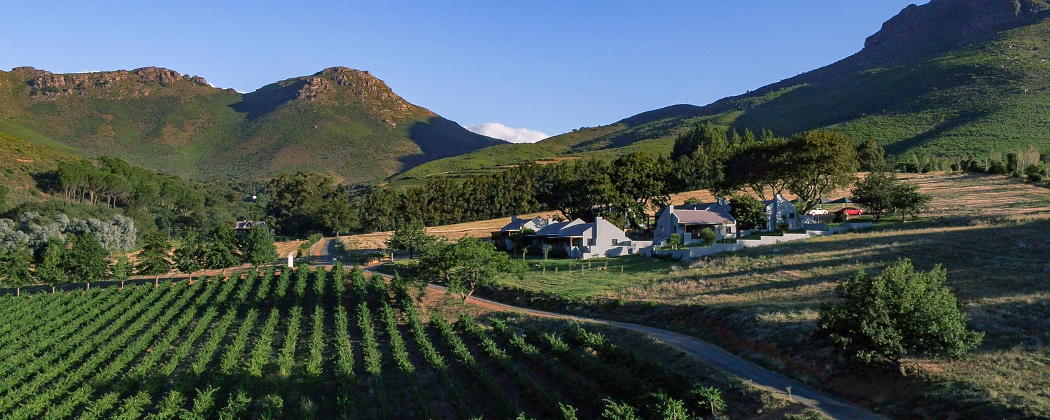 Stellenbosch, Helderberg, Suurberg, Mont Angelis Vineyards, Accommodation, Self-Catering